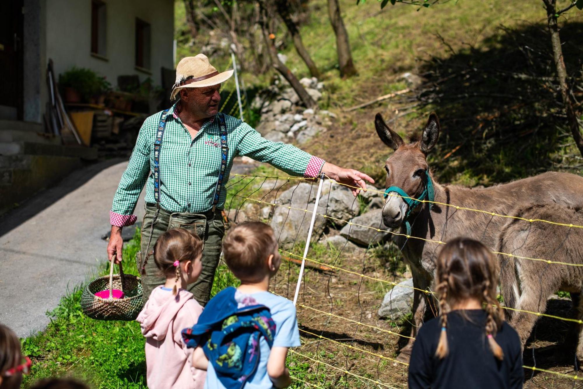 Turisticna Kmetija Grabnar Villa Bled Exterior foto
