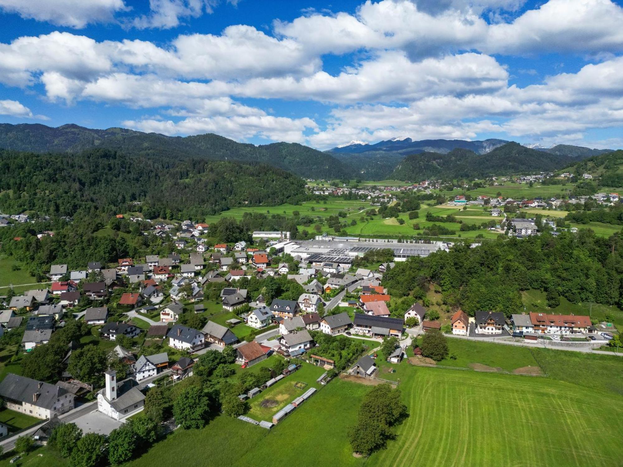 Turisticna Kmetija Grabnar Villa Bled Exterior foto